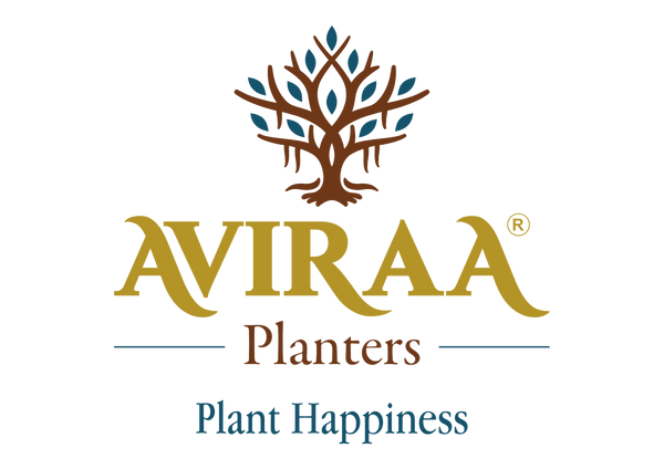 AVIRAA PLANTERS